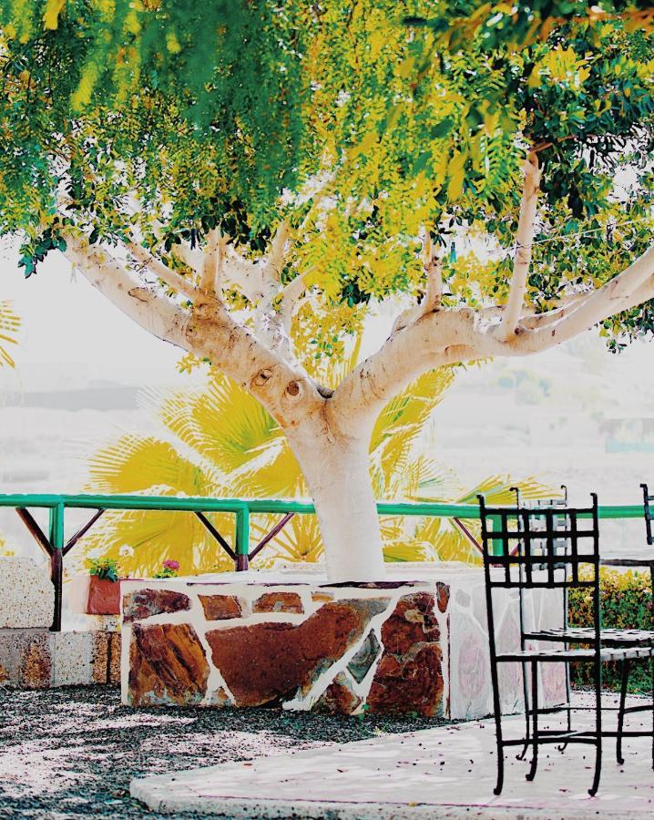 Casa Las Zocas سان ميغيل ذي أبونا المظهر الخارجي الصورة